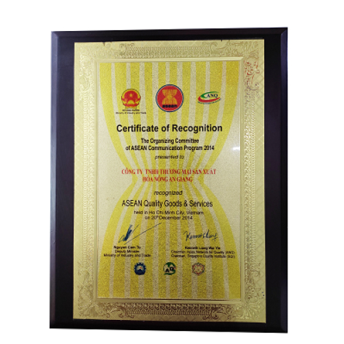 V. Thành tựu của công ty